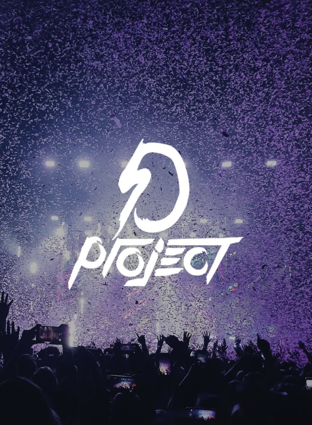 Logotype - D Project